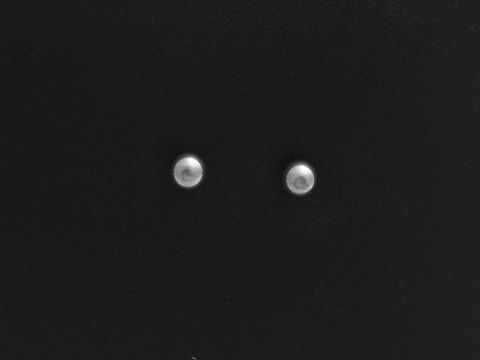 Edelstahl Ohrringe polierte Kugel 3 mm Ohrstecker von Juwelier Harnisch glänzend und elegant auf schwarzem Hintergrund abgebildet.