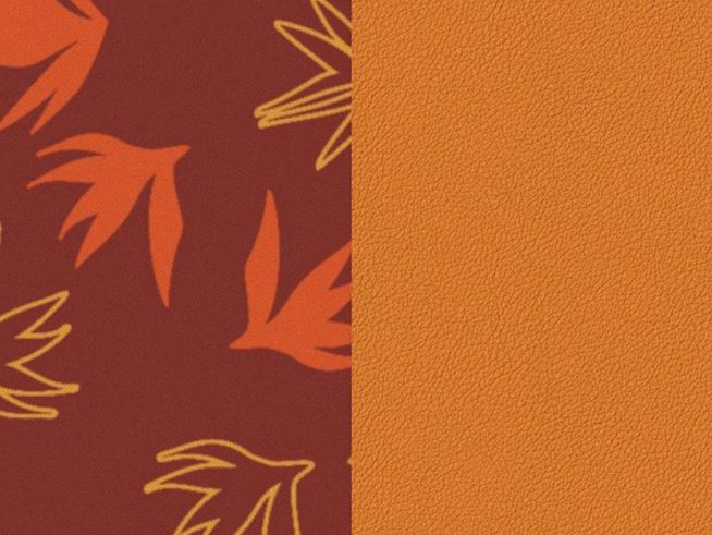 Hellorange Blättermuster in Orange, Gelb und Mauve Pink auf einer strukturierten Oberfläche, geeignet für die Einlage des Les Georgettes Dandelion-Abricot Armreifs.