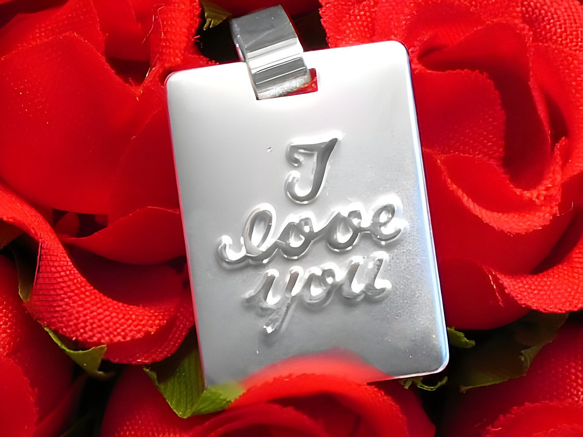 Silber Gravurplatte Rechteck I LOVE YOU mattiert, Hersteller Juwelier Harnisch, liegt auf roten Rosen und zeigt den liebevollen Text in geschwungener Schrift.