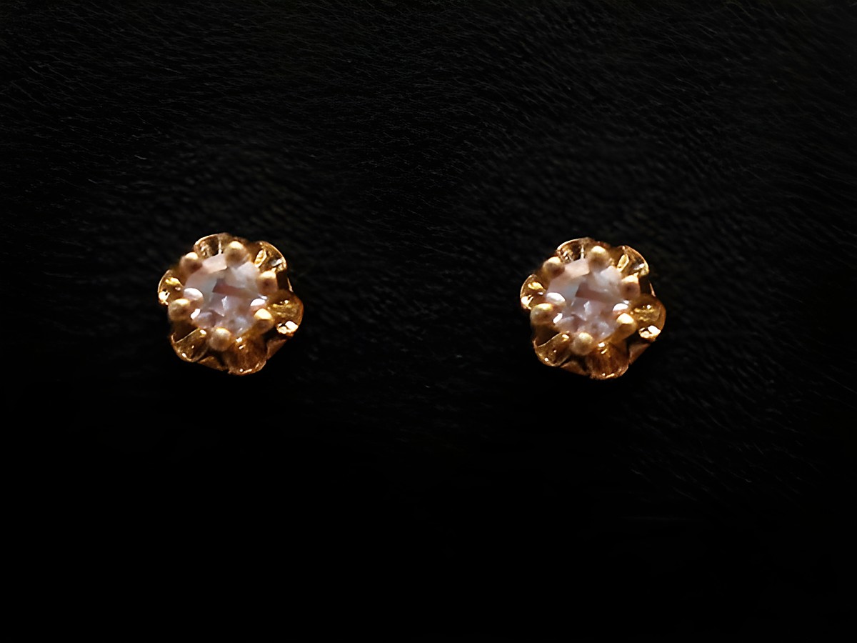 Ohrringe Brillant 0,06 ct. W/P1 - BLUME Gold, Hersteller Juwelier Harnisch, Brillant & Diamant, in floralem Design mit schimmerndem Diamant im Mittelpunkt.