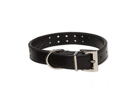 Halsband Größe S in Schwarz aus echtem Leder mit einer Länge von 21,5 bis 26,5 cm, ausgestattet mit einer Edelstahl-Schnalle und mehreren Einstelllöchern, ideal für Hunde und Katzen Accessoires.