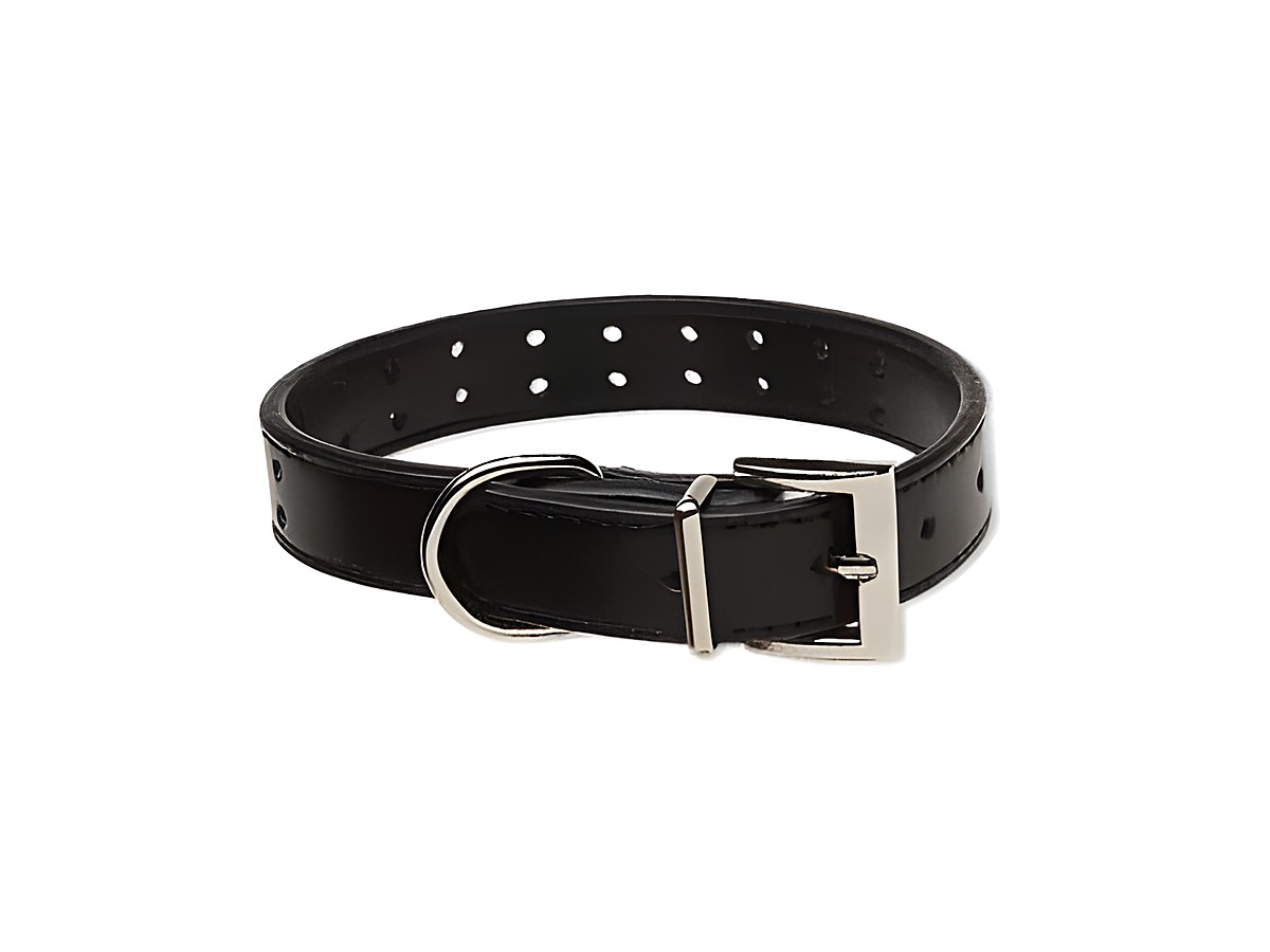 Halsband Größe S in Schwarz aus echtem Leder mit einer Länge von 21,5 bis 26,5 cm, ausgestattet mit einer Edelstahl-Schnalle und mehreren Einstelllöchern, ideal für Hunde und Katzen Accessoires.