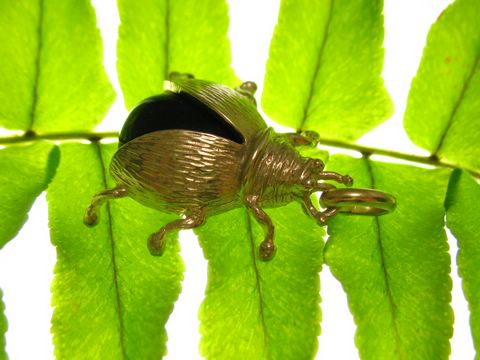 Käfer Coleoptera Goldanhänger aus Gold und Onyx auf einem Blatt. Hersteller Juwelier Harnisch. Detailreiche Darstellung des Anhängers mit natürlichem Hintergrund.
