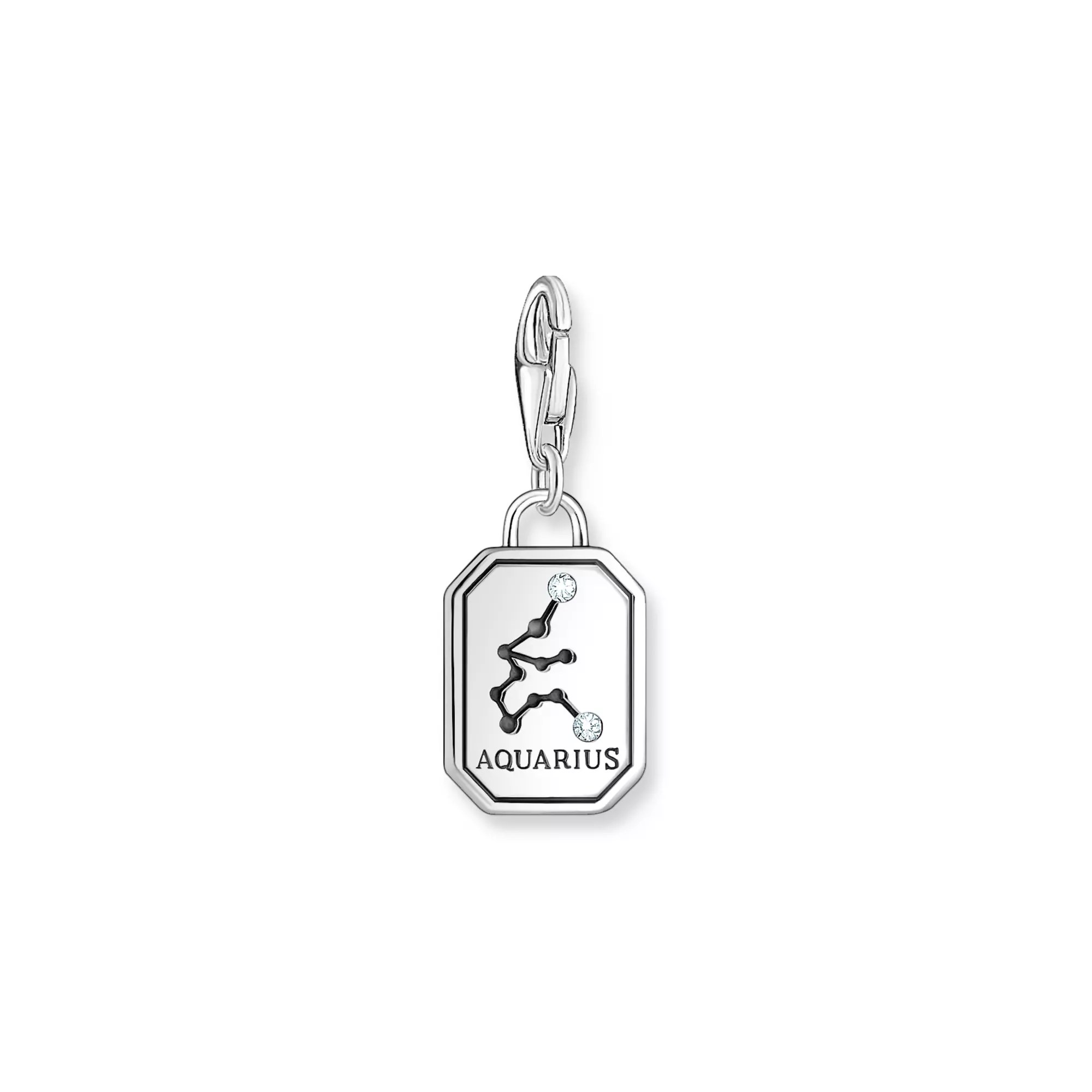 Thomas Sabo Charm-Anhänger - Sternzeichen Wassermann - Silber gesch. & Zirkonia – Ansicht 2