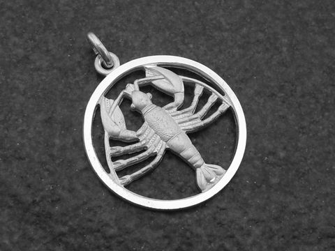 Runder Silber Anhänger mit dem Sternzeichen Krebs, feine Details des Krebses sind sichtbar. Hersteller ist Juwelier Harnisch, ideal für Krebs-Geborene.