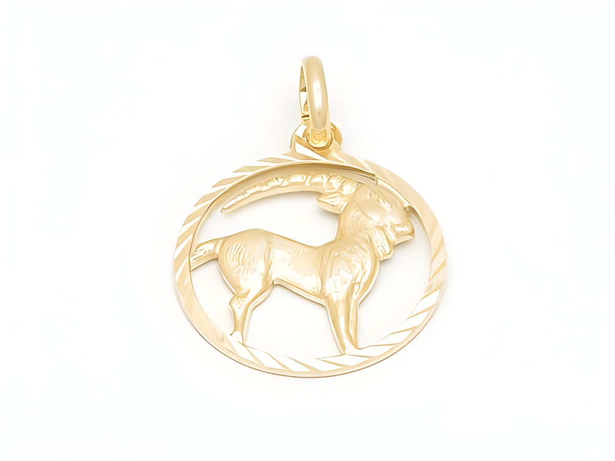 Goldener Steinbock-Anhänger mit diamantierter Oberfläche, Durchmesser 17 mm, von Juwelier Harnisch, symbolisiert das Sternzeichen Steinbock.