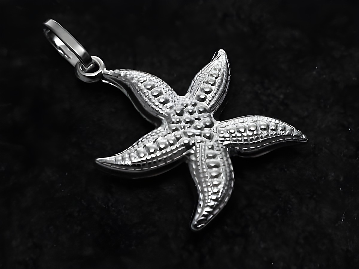 Schöner Seestern Anhänger aus Sterling Silber, gefertigt von Juwelier Harnisch, ideal als modisches Schmuckstück mit tierischem Motiv.