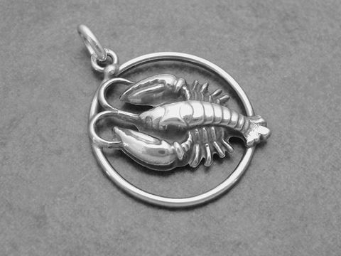 Silber geschwärzt Anhänger Sternzeichen Krebs rund, elegant gestaltet mit Krebs-Motiv innerhalb eines Rings, Hersteller Juwelier Harnisch, ideal für Sternzeichen-Liebhaber.