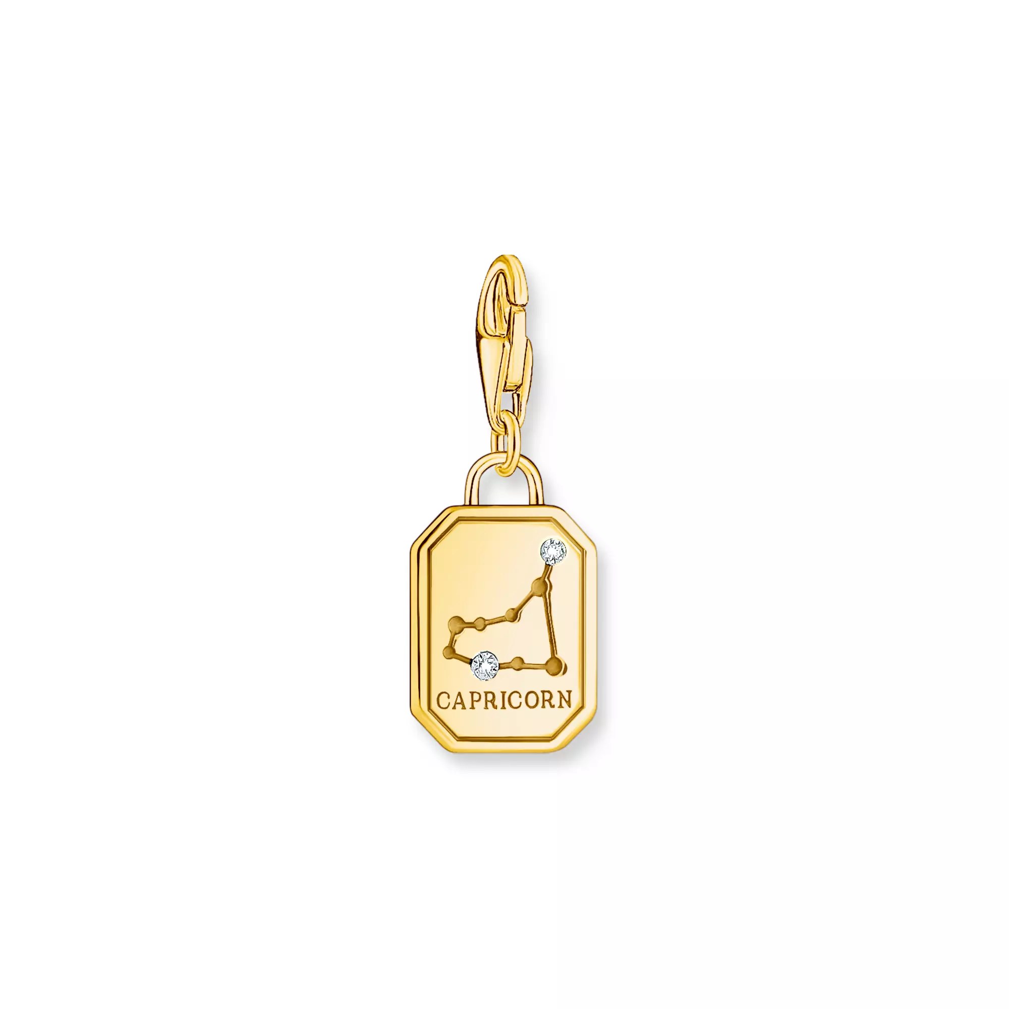 Thomas Sabo Charm-Anhänger - Sternzeichen Steinbock - Silber Gelbgold verg. & Zirkonia – Ansicht 2