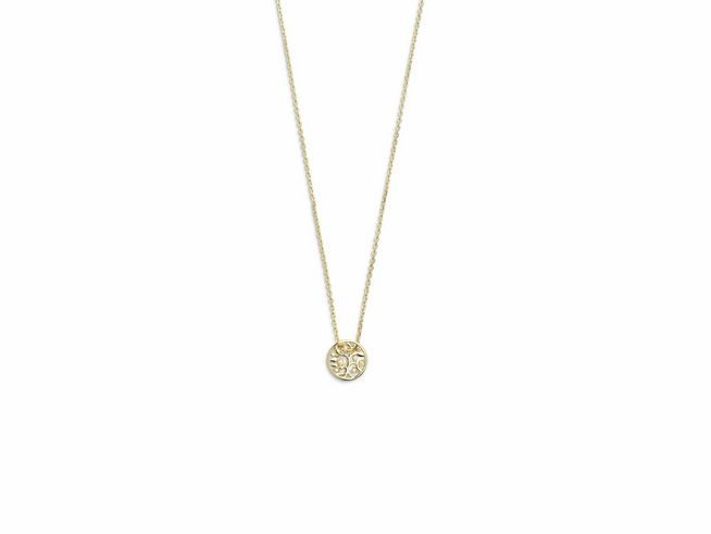 Xenox Sterling Silber Kette XS3565G in 40-45 cm mit Lebensbaum-Anhänger in vergoldeter Karreekette aus Gelbgold, elegantes und symbolisches Schmuckstück für jeden Anlass.