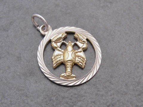 Krebs Silber Sternzeichen mit Vergoldung von Juwelier Harnisch, zeigt ein detailliertes Krebs-Motiv in einem kreisförmigen Rahmen mit gewellter Oberfläche.