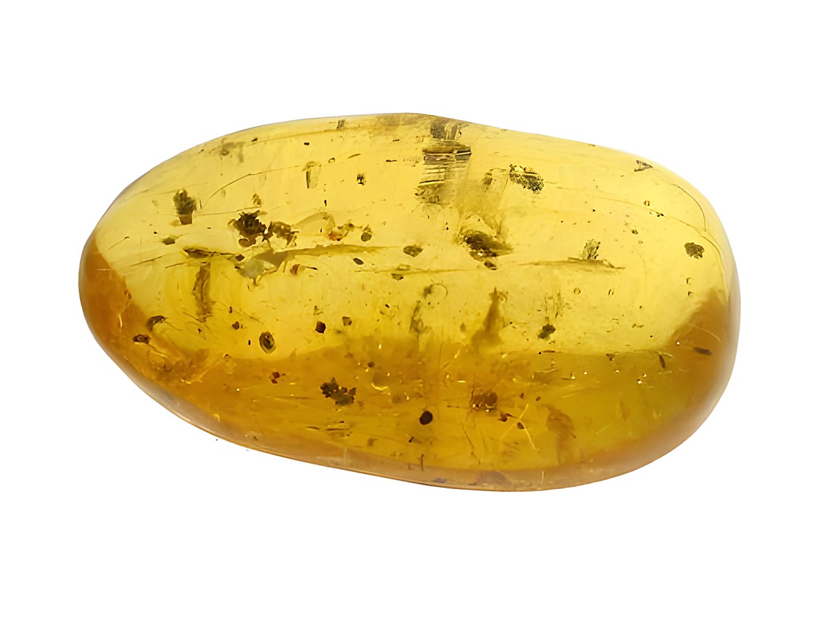 Bernstein mit Mücken und einer halben Spinne eingebettet im Moos, Sammlerstück von Juwelier Harnisch, hochwertige Bernsteine, perfekt für Liebhaber und Freunde der Natur.