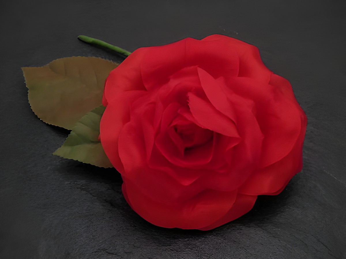 Opulenter Haarschmuck mit roter Textilrose von Juwelier Harnisch, ideal als Brosche oder Blumenaccessoire für besondere Anlässe.