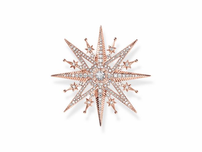 Brosche von Thomas Sabo in Form eines Sterns aus vergoldetem Roségold und Edelstahl, verziert mit funkelnden Zirkonia-Steinen, elegantes Design für jeden Anlass.