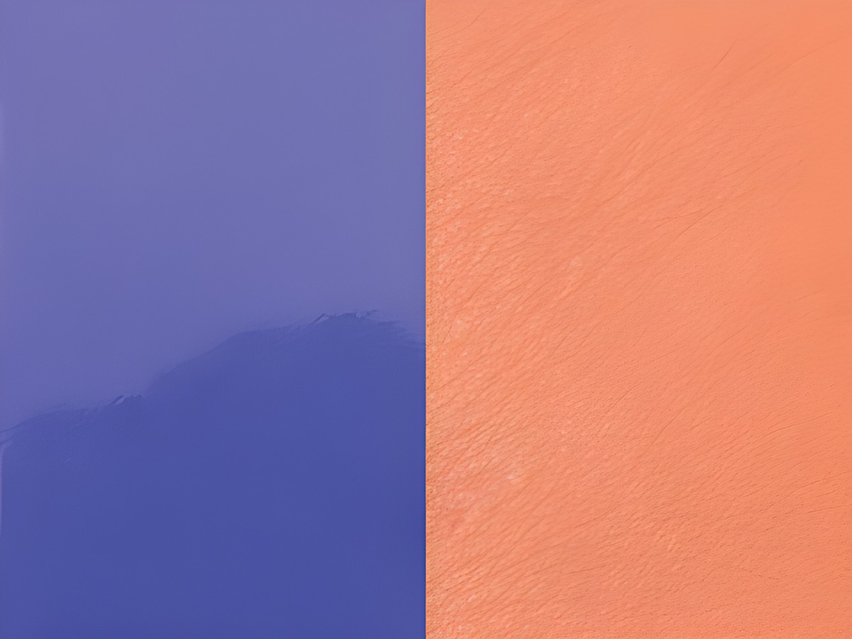Perspexeinlage für 8 mm Ringe von Les Georgettes in den Farben Lachsrosa und Purple, gestaltet für individuelle Anpassungen und farbige Akzente.
