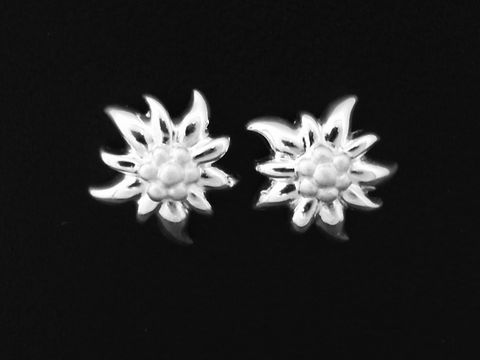 Charmante Edelweiß Blume Ohrstecker aus Sterling Silber von Juwelier Harnisch, ohne Stein, in filigranem Design, ideal für jeden Anlass.