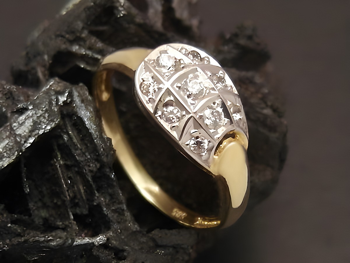 Gold Ring mit Schlange aus Gold 585, verziert mit Zirkonia. Juwelier Harnisch, Größe 54. Eleganter Goldring für besondere Anlässe.