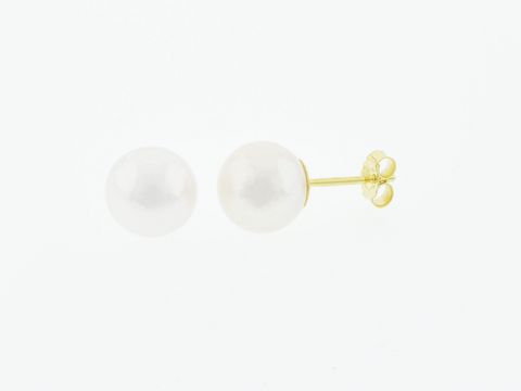 Gold Perlen Ohrringe aus 333 Gold mit 9 mm großen Süßwasser Zuchtperlen vom Hersteller Juwelier Harnisch, elegant und zeitlos für jeden Anlass.