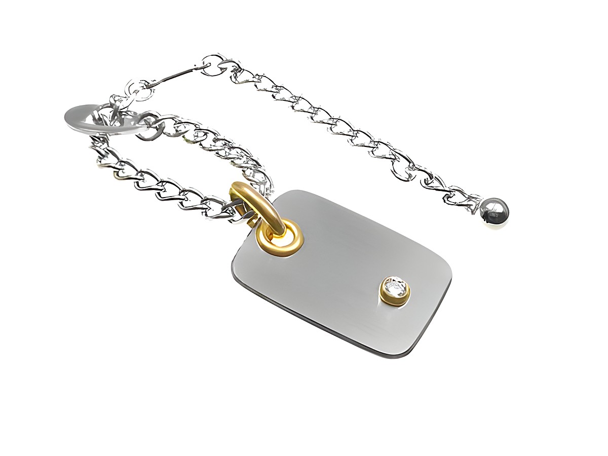 Edelstahl Schlüsselanhänger mit Zirkonia, teilvergoldet, von Juwelier Harnisch. Modernes Design mit glänzenden Akzenten und einer ansprechenden Form. Trocken und elegant.