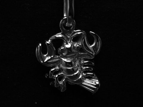35834-0 Ein rhodiniertes 925 Sterling Silberanhänger in Form eines Krebses, symbolisiert das Krebs-Sternzeichen und stammt vom Juwelier Harnisch.
