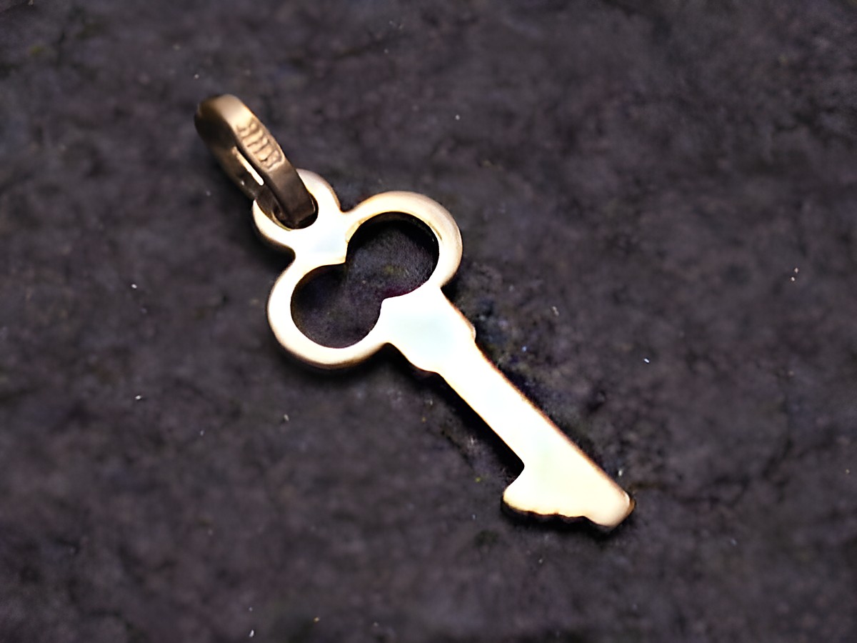 Gold Anhänger in Form eines Schlüssels aus Gold 333, Hersteller Juwelier Harnisch, ideal als schmückendes Accessoire oder Geschenk.