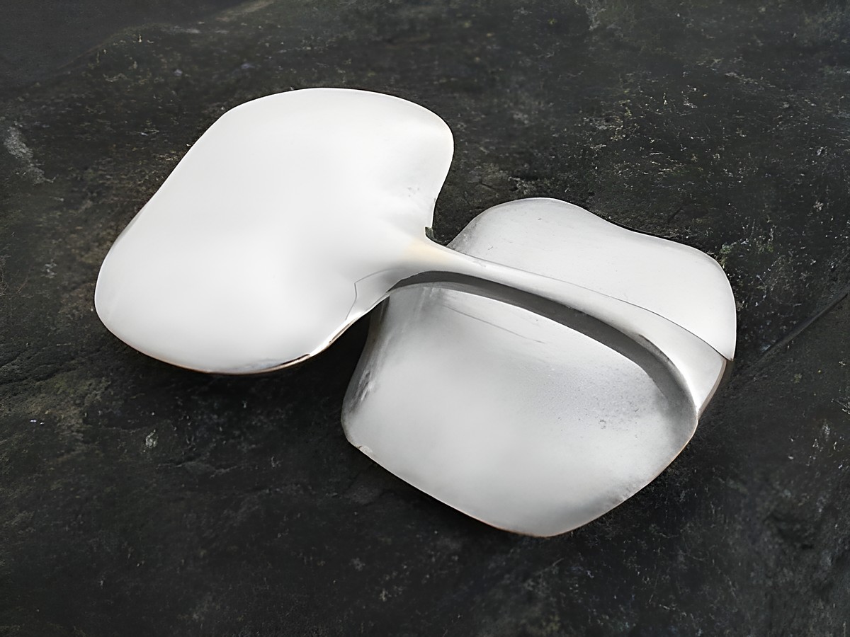 Brosche aus echt Silber im organischen Design, teilmattiert. Hergestellt von Juwelier Harnisch, zeigt sie eine harmonische Form mit sanften Linien und eleganter Ästhetik.