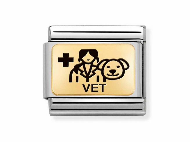 Edelstahl und Gold 585 Charm von Nomination mit emaillierter Darstellung einer Tierärztin und einem Hundesymbol sowie dem Schriftzug Vet. Ideal für Tierliebhaber.