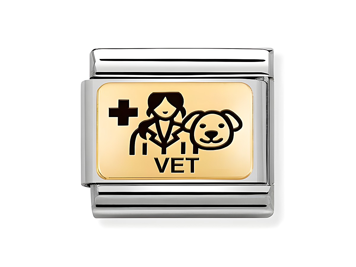 Edelstahl und Gold 585 Charm von Nomination mit emaillierter Darstellung einer Tierärztin und einem Hundesymbol sowie dem Schriftzug Vet. Ideal für Tierliebhaber.
