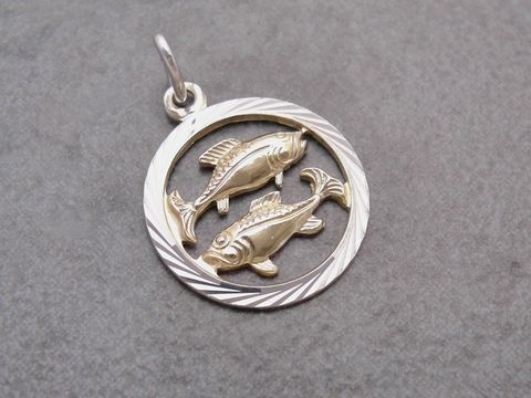 Zwei stilisierte Fische in Silber und Gold, umgeben von einem runden Rahmen mit gedrehtem Muster, designet von Juwelier Harnisch für das Sternzeichen Fische.