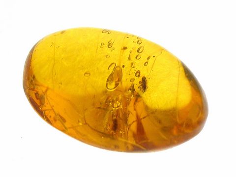 Bernstein Fliege aus hochwertigem Amber, hergestellt von Juwelier Harnisch. Schimmerndes Gelb mit natürlichen Einschlüsse und Luftblasen, ideal für Sammler.