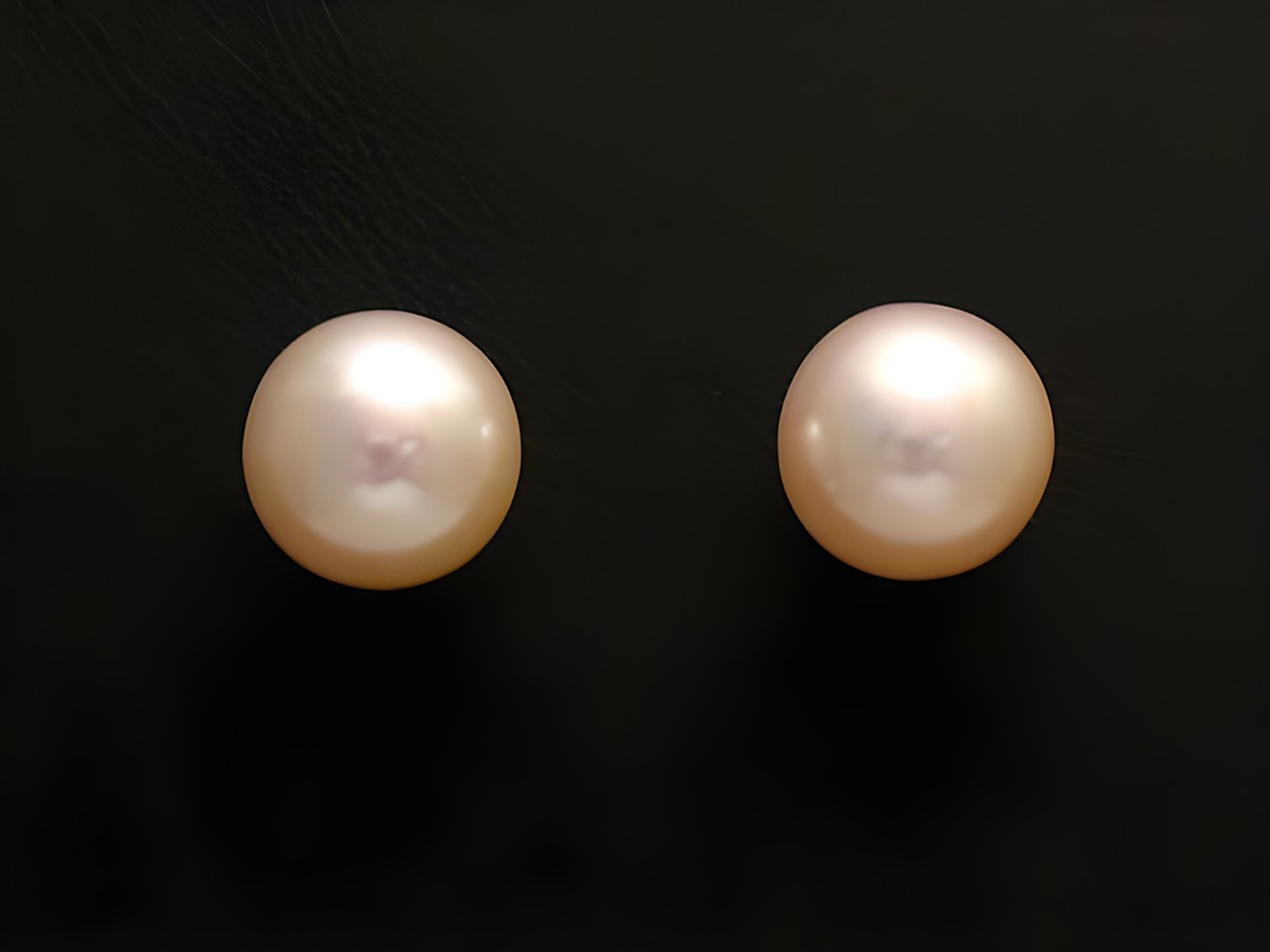 Ohrringe mit 8,5 mm Zuchtperlen in Gold 585 als Ohrstecker, hergestellt von Juwelier Harnisch, elegante Perlen Ohrringe auf schwarzem Hintergrund.