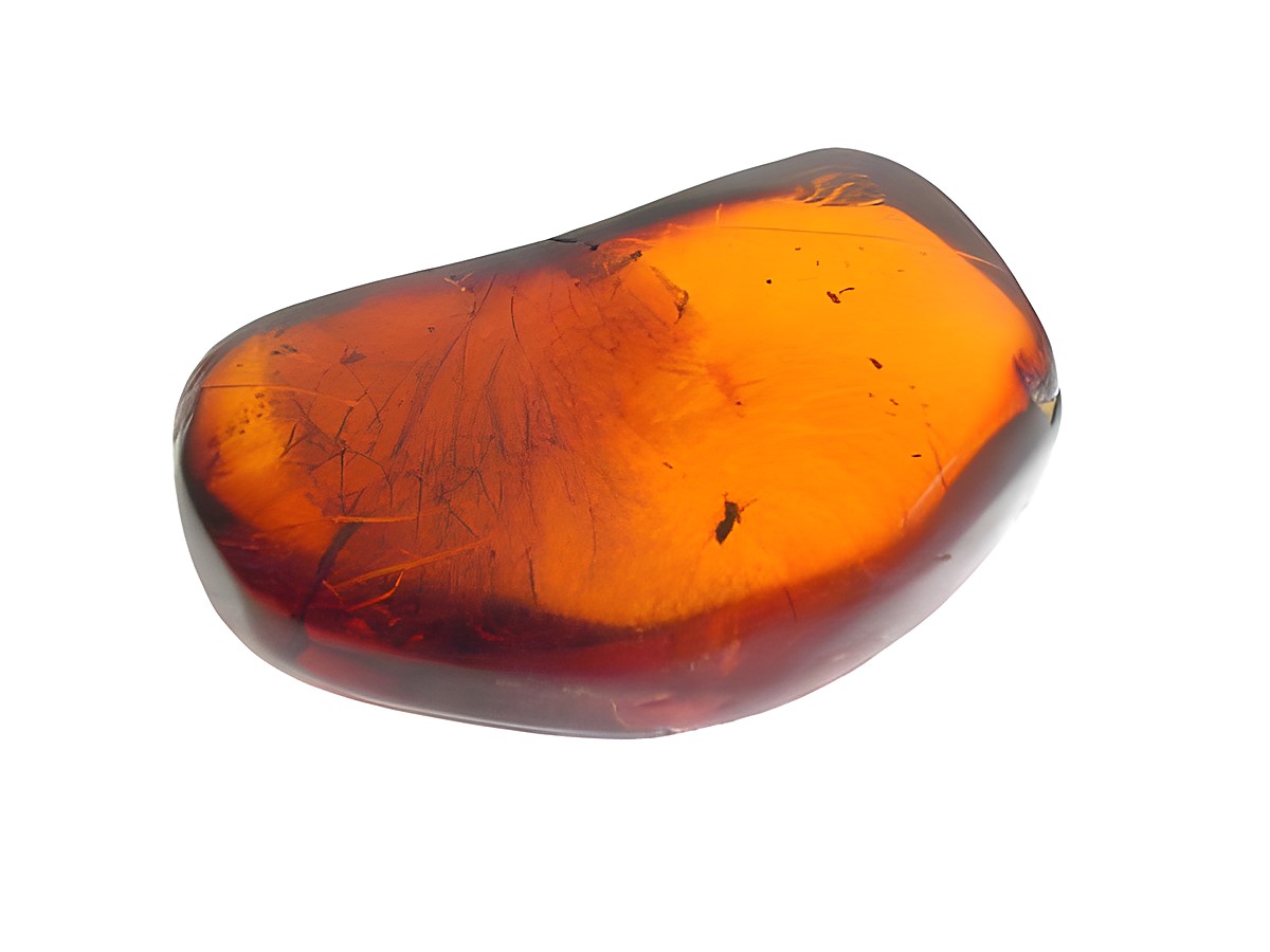 Bernstein Wespe AMBER Sammlerstück von Juwelier Harnisch, ein attraktiver, glatter, orangefarbener Bernsteinstein mit charakteristischen Einschlüsse und natürlicher Form.