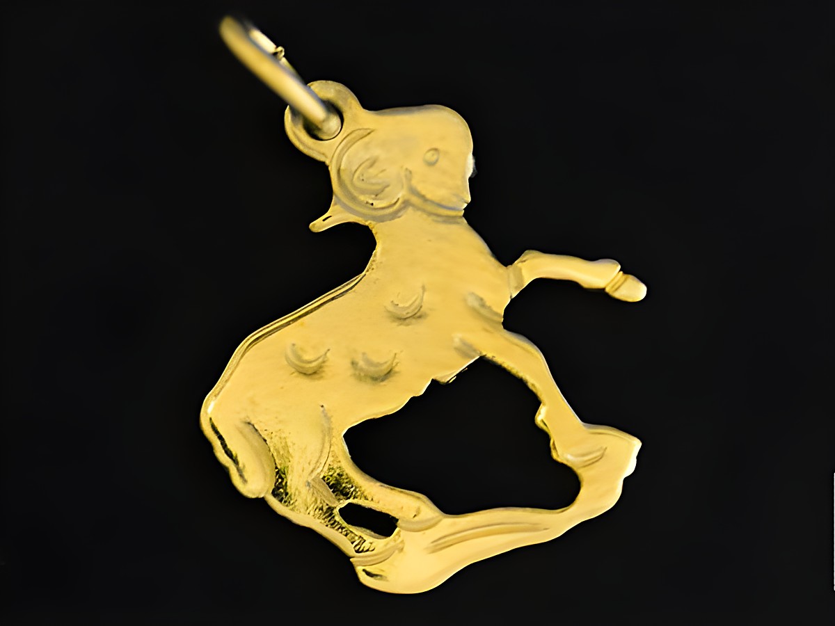Ein plastisch flacher Anhänger aus Gold 333 in Form eines Widders, der das Sternzeichen darstellt. Hergestellt von Juwelier Harnisch. Ideal für Schmuckliebhaber und Sternzeichen-Fans.