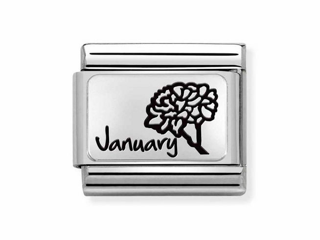 Charm aus Edelstahl und Sterling Silber von Nomination, mit einem Monatsblumenmotiv für Januar, das eine Nelke zeigt, sowie der Aufschrift Januar. Ideal für Sternzeichen- und Monatssteinliebhaber.