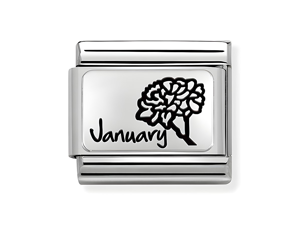 Charm aus Edelstahl und Sterling Silber von Nomination, mit einem Monatsblumenmotiv für Januar, das eine Nelke zeigt, sowie der Aufschrift Januar. Ideal für Sternzeichen- und Monatssteinliebhaber.