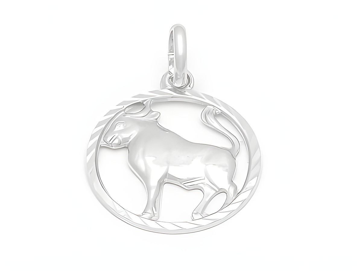 Stier Sternzeichen Anhänger aus Weißgold 333 diamantiert, gestaltet mit einem Stier und einem elegantem Rahmen, hergestellt von Juwelier Harnisch.