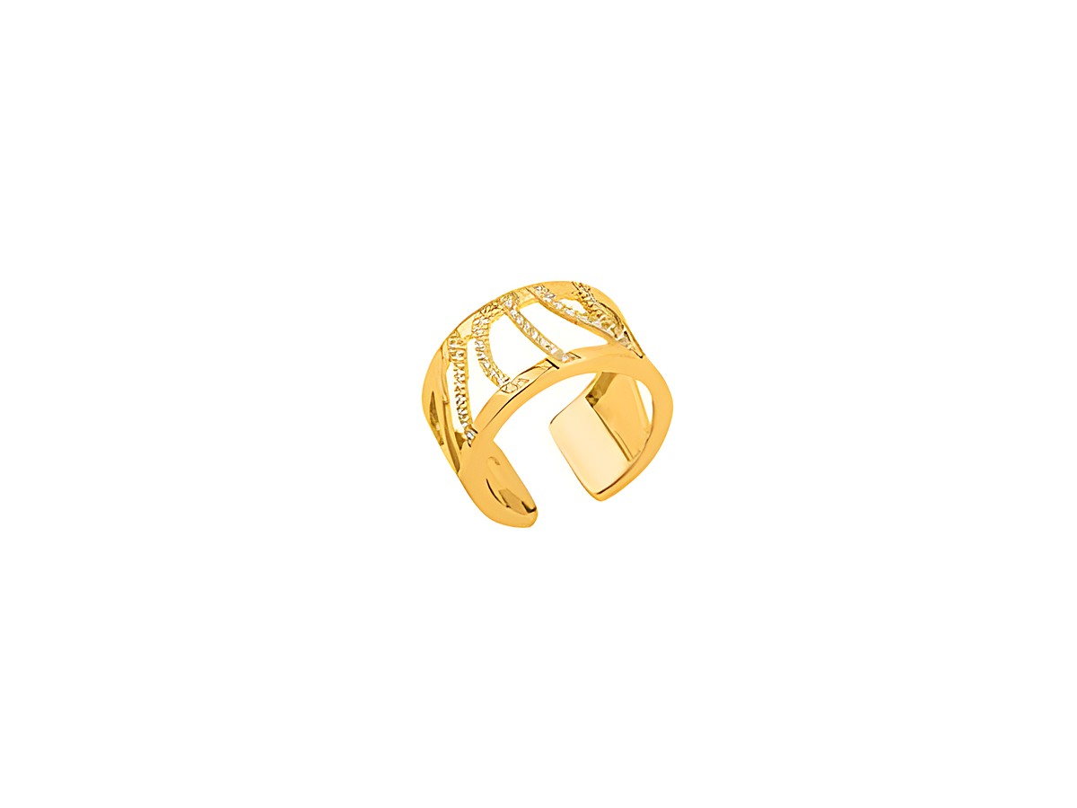 Eleganter goldfarbener Ring von Les Georgettes aus der Kollektion Les Précieuses mit 12 mm Breite, Modell PERROQUET, Größe 52-54, ideal für stilvolle Akzente.