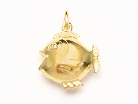 Ein Anhänger in Form eines Fischs aus Doublé Gold Auflage von Juwelier Harnisch, detailreich gestaltet und glänzend, ideal als Schmuckstück oder Geschenk.