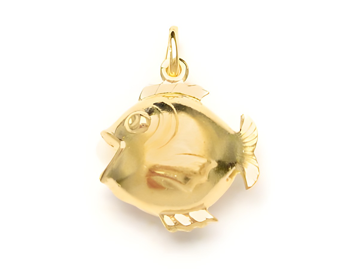 Ein Anhänger in Form eines Fischs aus Doublé Gold Auflage von Juwelier Harnisch, detailreich gestaltet und glänzend, ideal als Schmuckstück oder Geschenk.