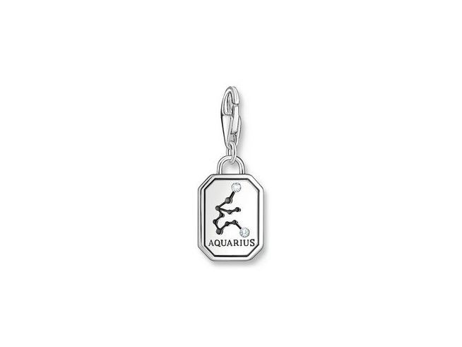 Charm-Anhänger von Thomas Sabo in Silber mit Zirkonia, zeigt das Wassermann-Sternzeichen und den Schriftzug Aquarius, ideal für persönliche Schmuckstücke.