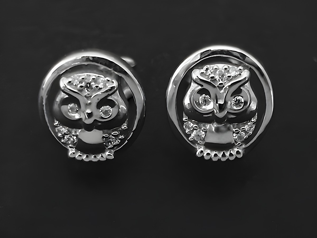 Silberne Ohrringe in Eulenform mit Zirkonia in Weiß, hergestellt von Juwelier Harnisch, symbolisch und elegant, ideal für jeden Anlass.