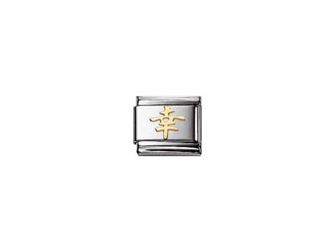 Ein eleganter Anhänger aus Edelstahl mit einem goldenen Symbol, das Glück darstellt, im klassischen Design von Nomination Classic CHINA Glück Element.
