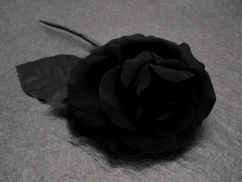 Haarschmuck mit einer opulenten schwarzen Textilrose und Blättern, hergestellt von Juwelier Harnisch, ideal als Blumenhaarschmuck oder Brosche.