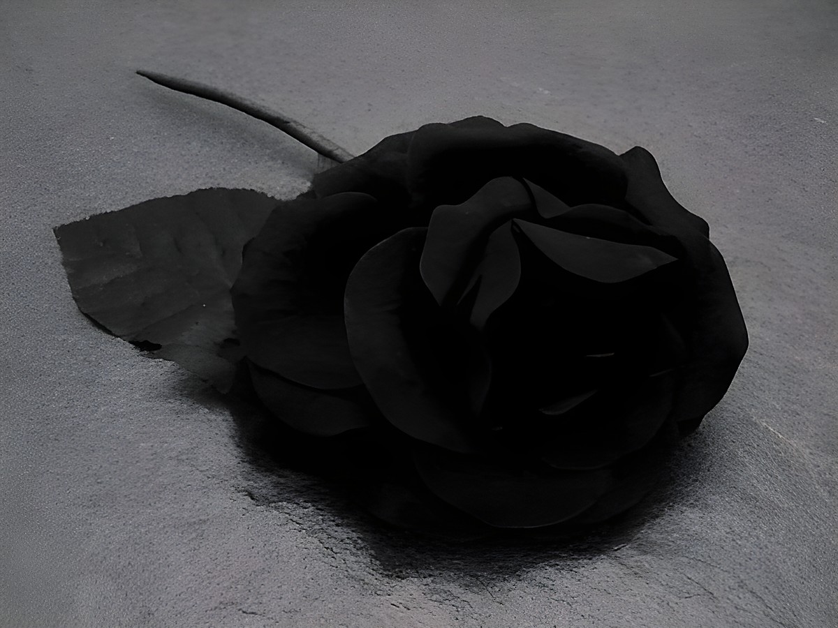 Haarschmuck mit einer opulenten schwarzen Textilrose und Blättern, hergestellt von Juwelier Harnisch, ideal als Blumenhaarschmuck oder Brosche.