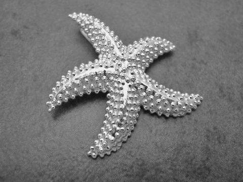 Silberner Anhänger in Form eines Seesterns, symbolisch, gefertigt vom Juwelier Harnisch, ideal für Tierliebhaber und als modisches Accessoire.