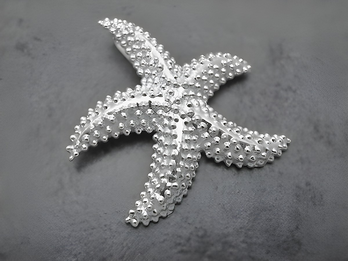 Silberner Anhänger in Form eines Seesterns, symbolisch, gefertigt vom Juwelier Harnisch, ideal für Tierliebhaber und als modisches Accessoire.