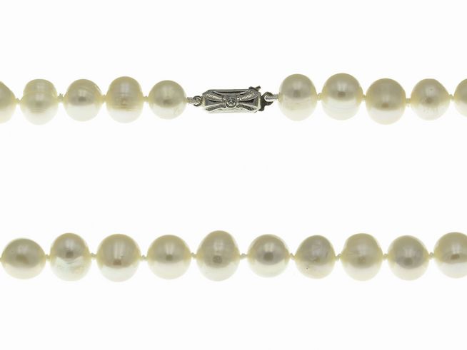 Perlenkette 41 cm in Weiß aus Süßwasser Zuchtperlen mit einem Durchmesser von 7,5-9 mm, hergestellt von Juwelier Harnisch, klassisch und elegant, ideal für besondere Anlässe.