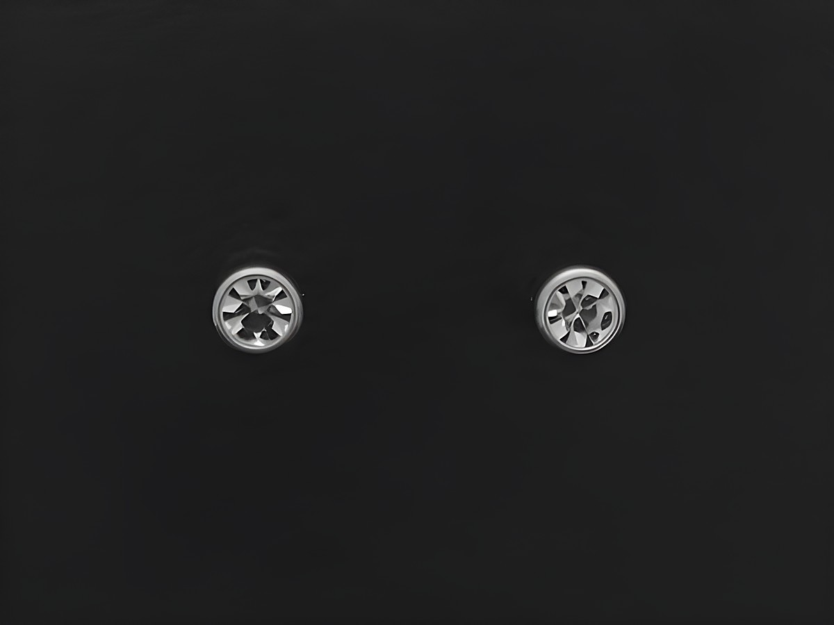 Titan Ohrstecker aus Titan mit 2,4 mm Durchmesser und Zirkonia, Hersteller Juwelier Harnisch, elegant und schick, ideal für jeden Anlass.