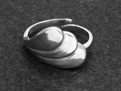 Silberring mit verstellbaren Flügeln, rhodiniert, hergestellt von Juwelier Harnisch, elegantes Design ohne Stein, ideal für stilvolle Akzente.