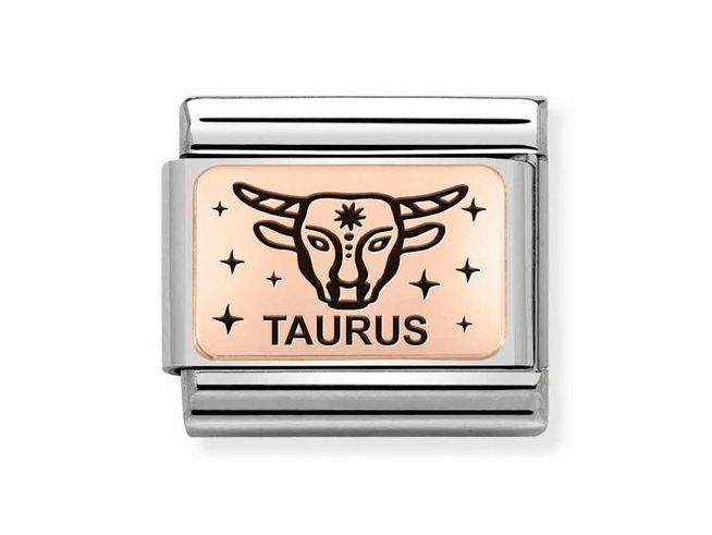 Charm von Nomination aus Edelstahl und Roségold, mit dem Symbol für das Sternzeichen Stier und der Gravur Taurus, umgeben von funkelnden Sternen.